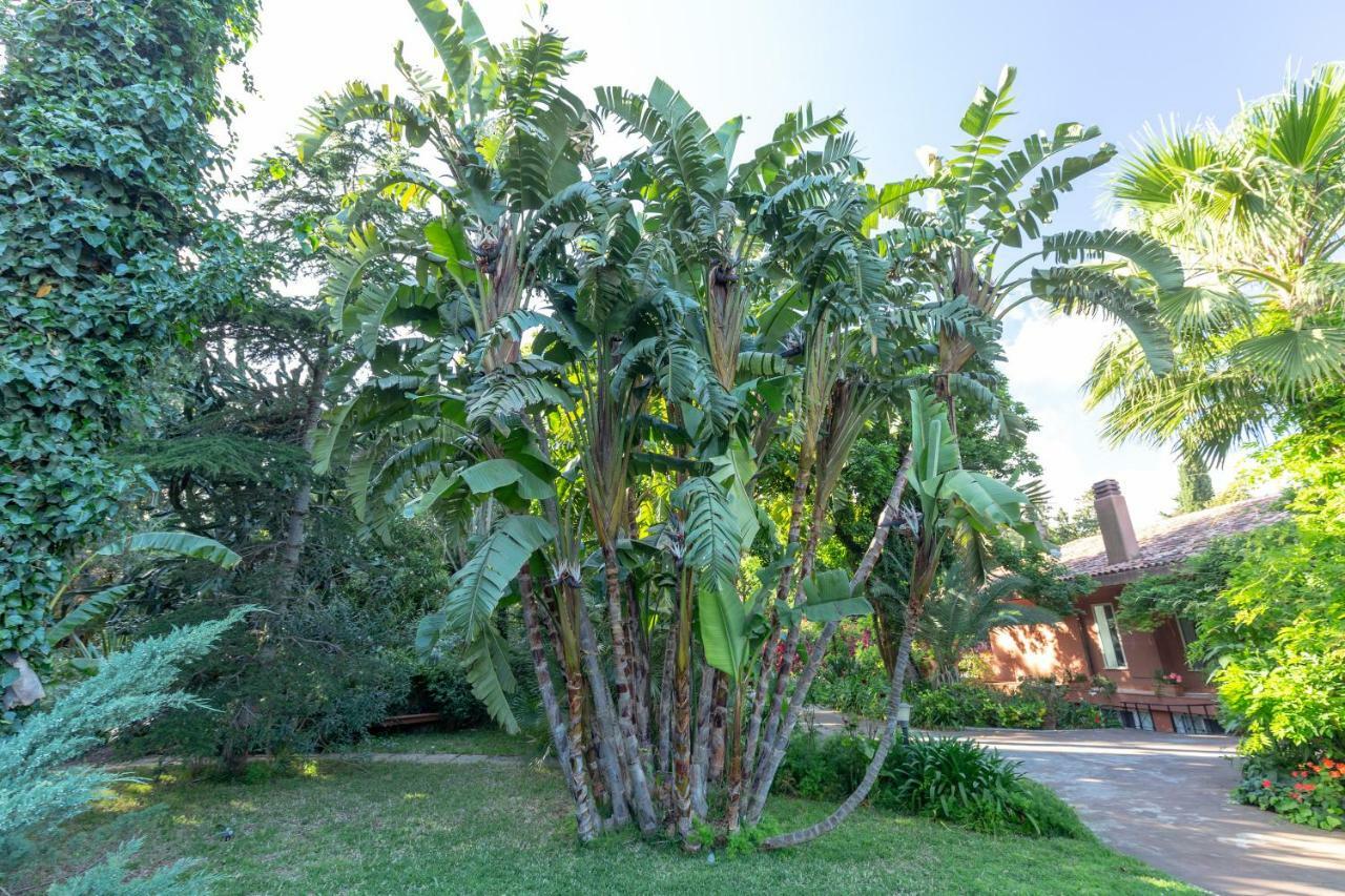 Вилла Il Giardino Di Michela By Domusicily Монделло Экстерьер фото